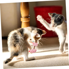 Cat Toy Kitten Toys Teeth Cleaning