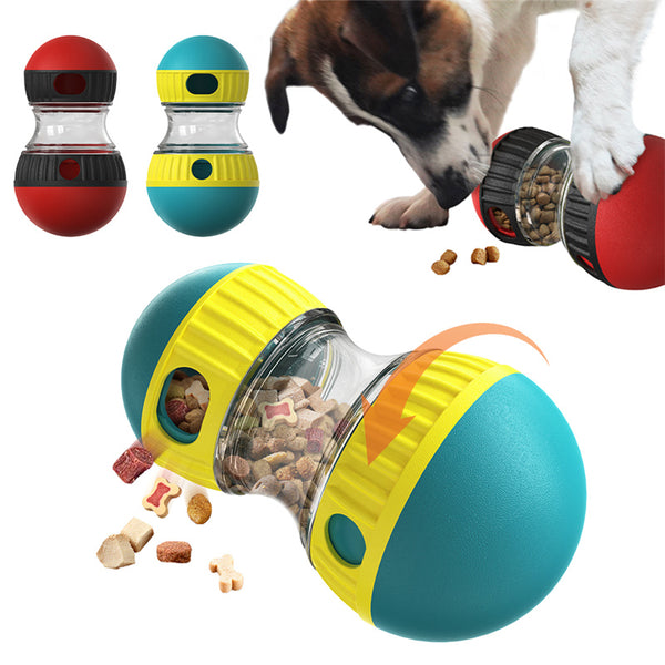 Dog Accessories